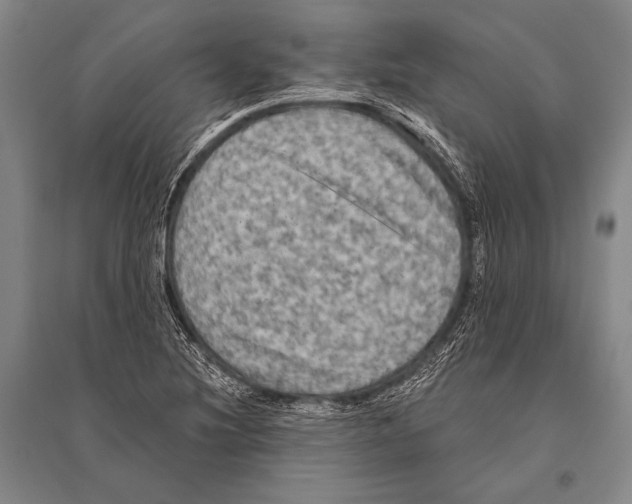 X0000094811220200712141614