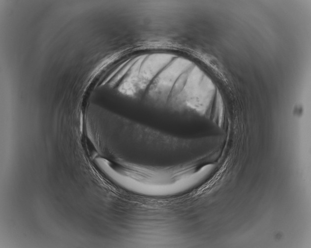 X0000094811221200712141614