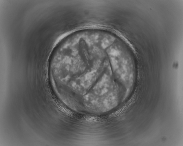 X0000094811222200712141614