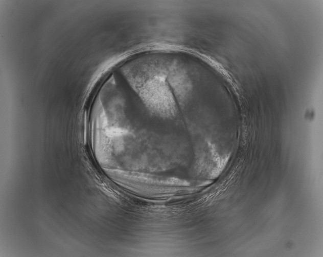 X0000094811223200712141614