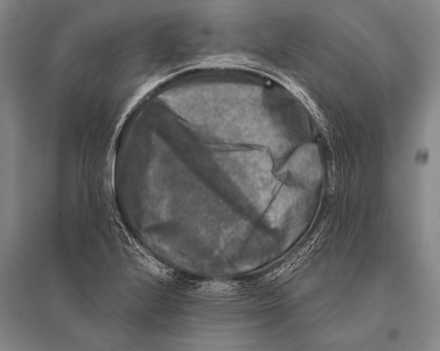 X0000094811224200712141615