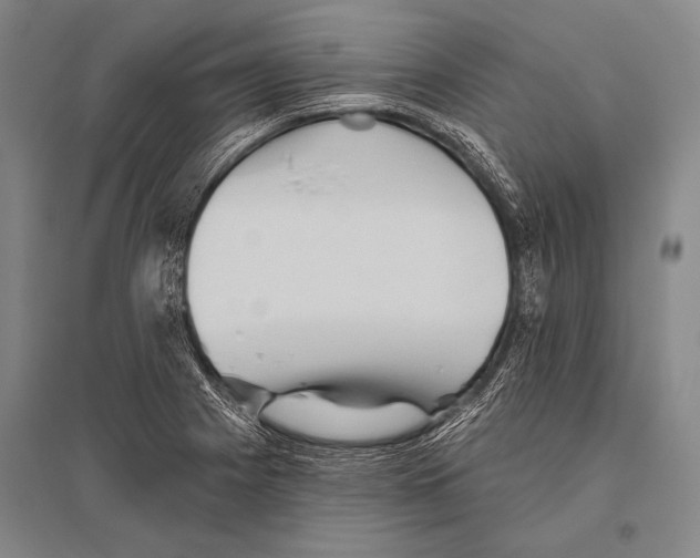 X0000094811225200712141615