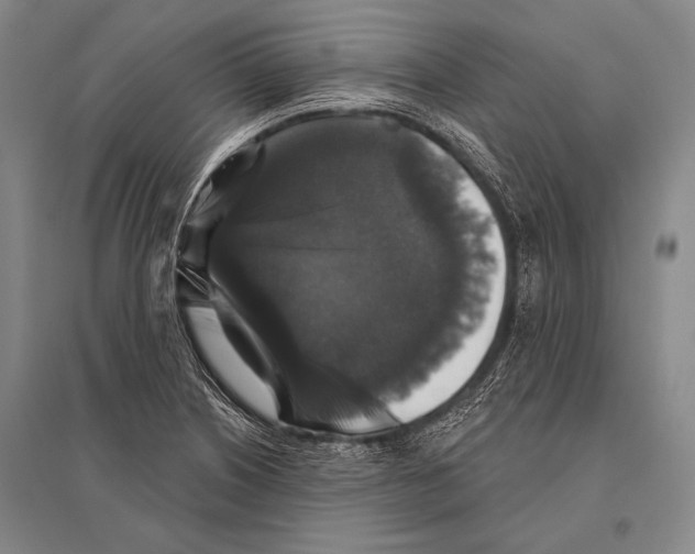 X0000094811226200712141615