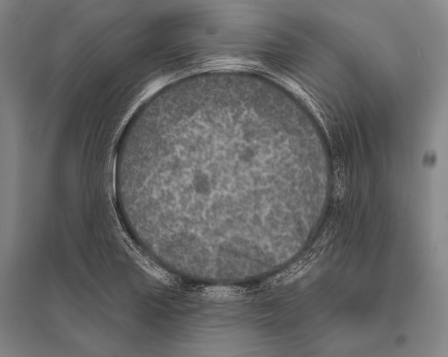 X0000094811227200712141615