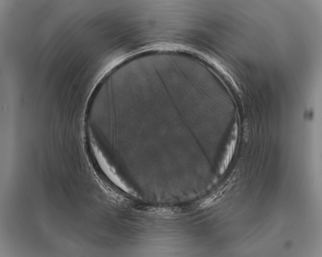 X0000094811229200712141615