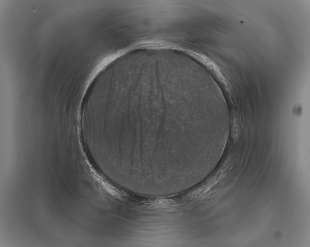 X0000094811231200712141615