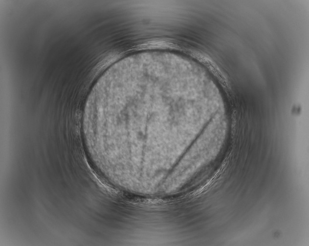 X0000094811233200712141615