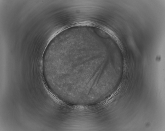 X0000094811234200712141615