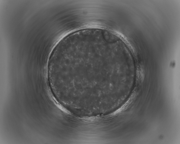 X0000094811236200712141615