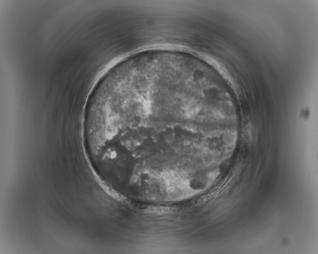 X0000094811237200712141615