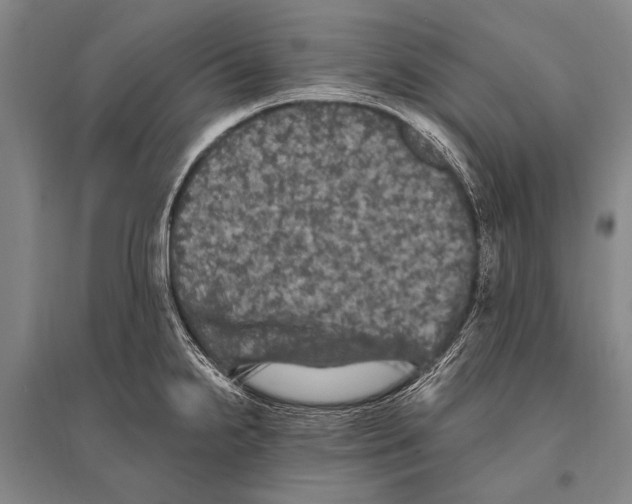 X0000094811238200712141615