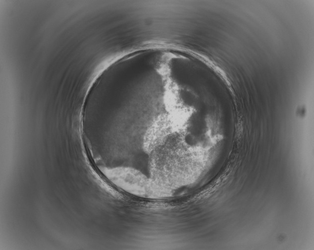 X0000094811239200712141615