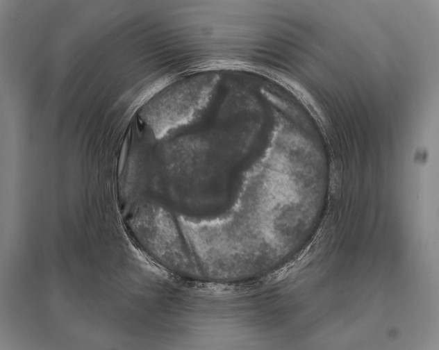 X0000094811241200712141615