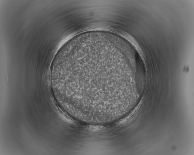 X0000094811242200712141615