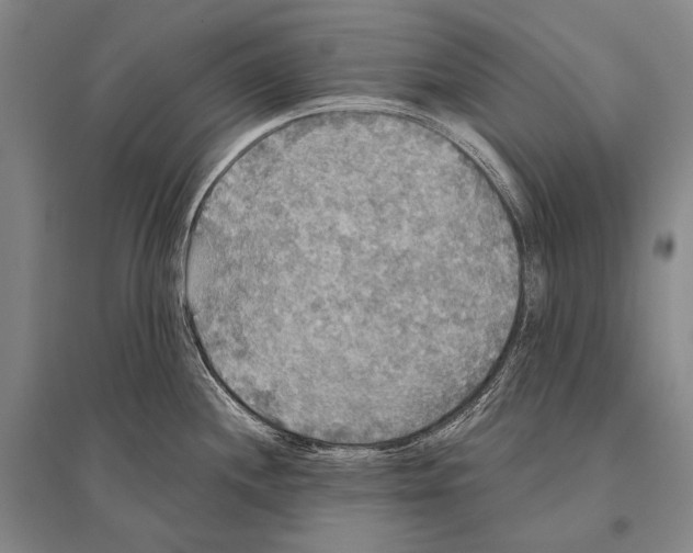 X0000094811244200712141615