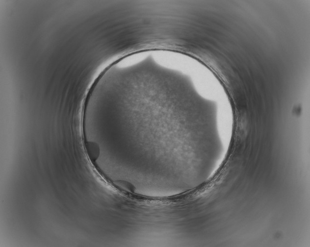 X0000094811246200712141615