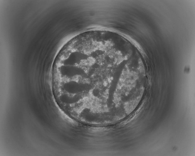 X0000094811247200712141615