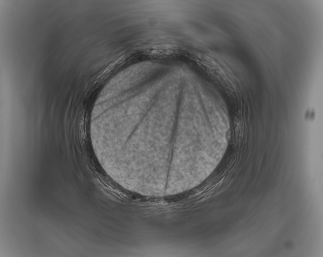 X0000094811250200712141614