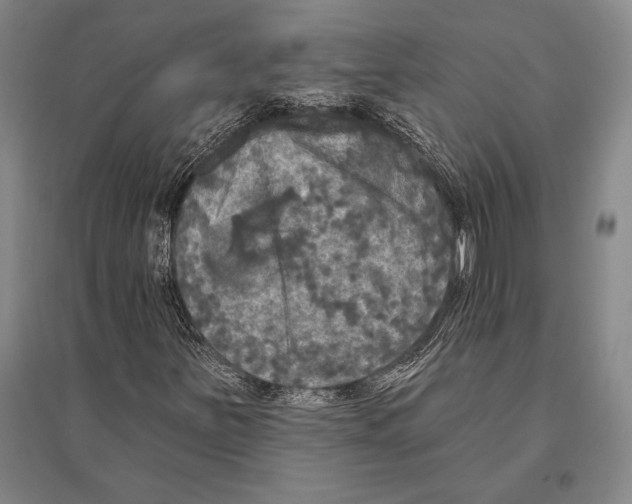 X0000094811251200712141614