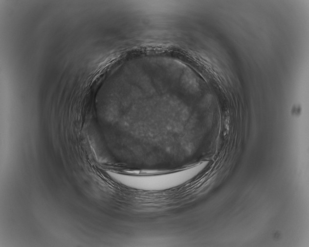 X0000094811252200712141614