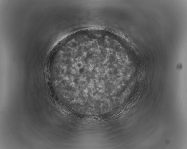 X0000094811255200712141614