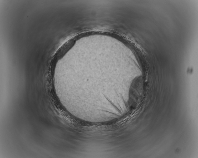 X0000094811256200712141614