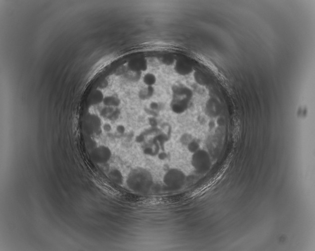 X0000094811259200712141614