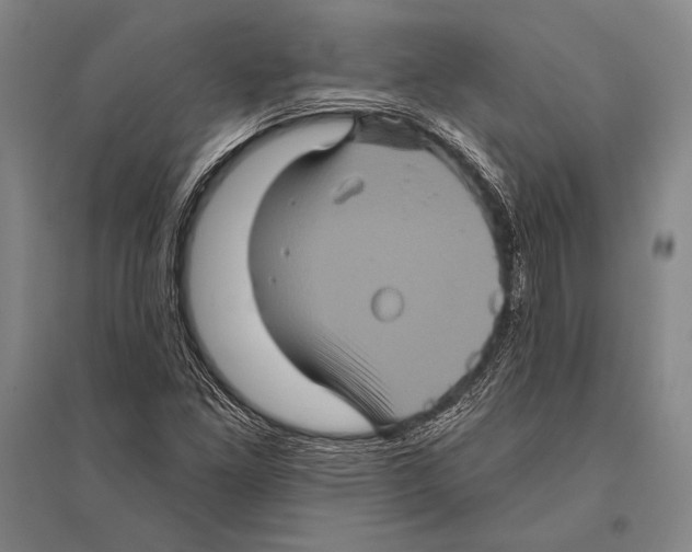 X0000094811261200712141614