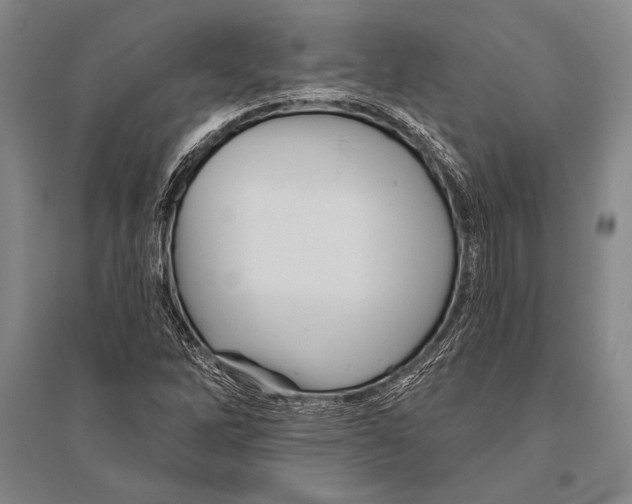 X0000094811262200712141614