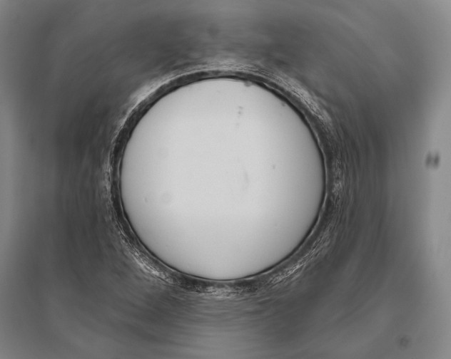 X0000094811264200712141614