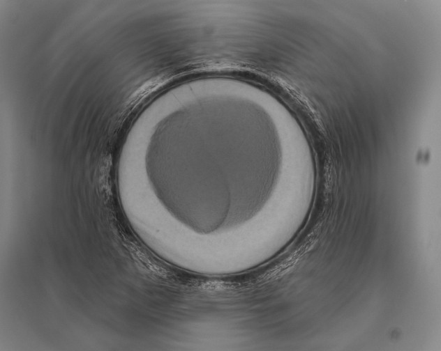 X0000094811265200712141614