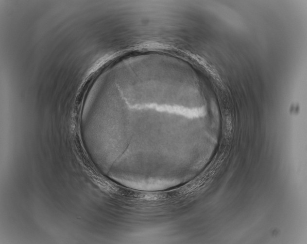 X0000094811266200712141614