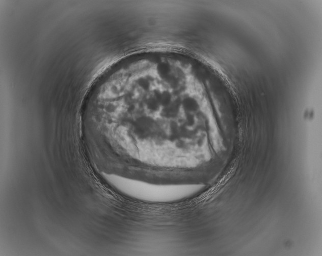 X0000094811267200712141614