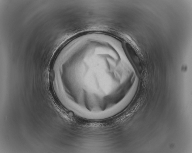 X0000094811268200712141614