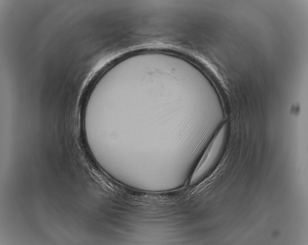 X0000094811270200712141614