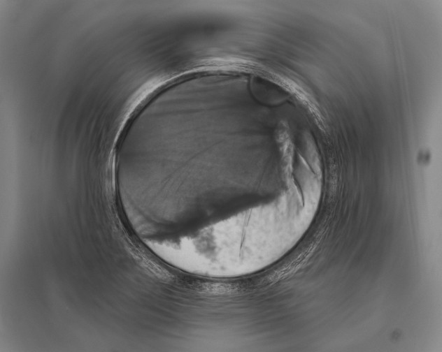 X0000094811275200712141614