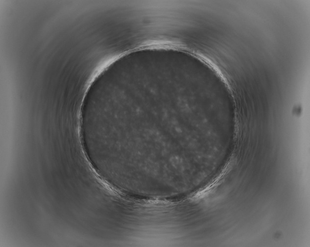 X0000094811277200712141614