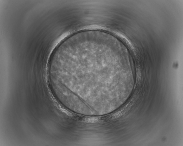 X0000094811278200712141614