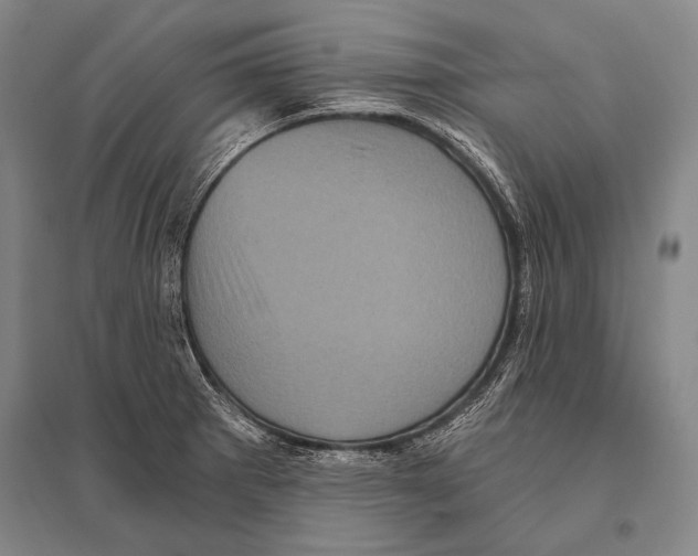 X0000094811281200712141614