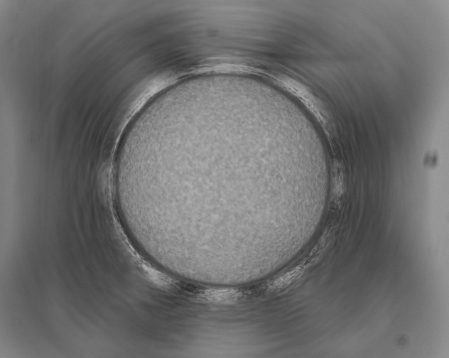 X0000094811282200712141614