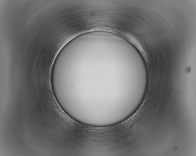 X0000094811284200712141614