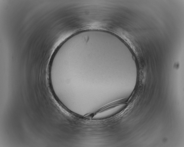 X0000094811285200712141614