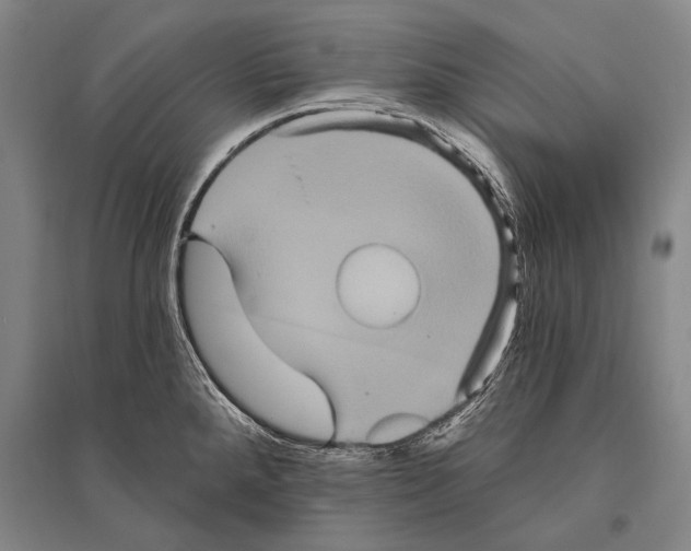 X0000094811288200712141614