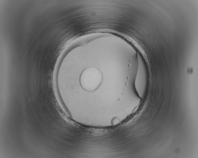 X0000094811289200712141614