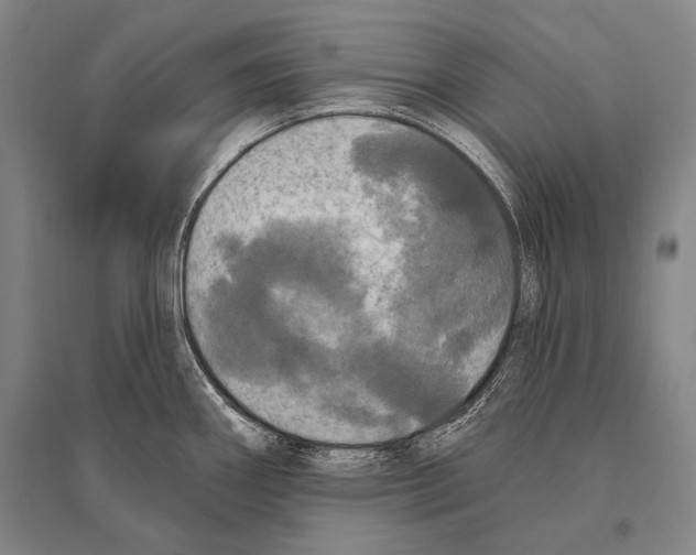 X0000094811290200712141614