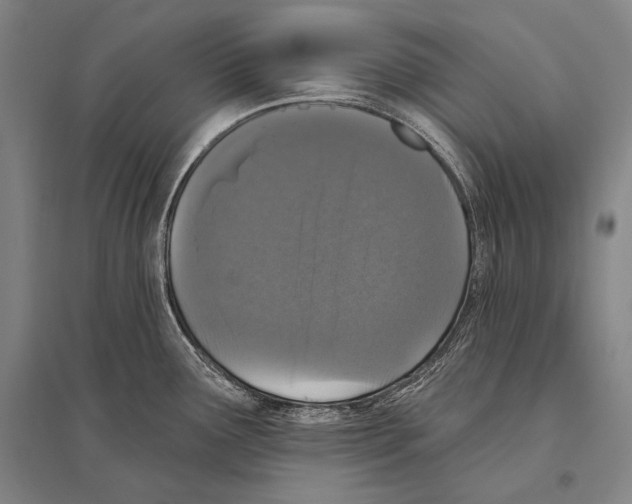 X0000094811291200712141614