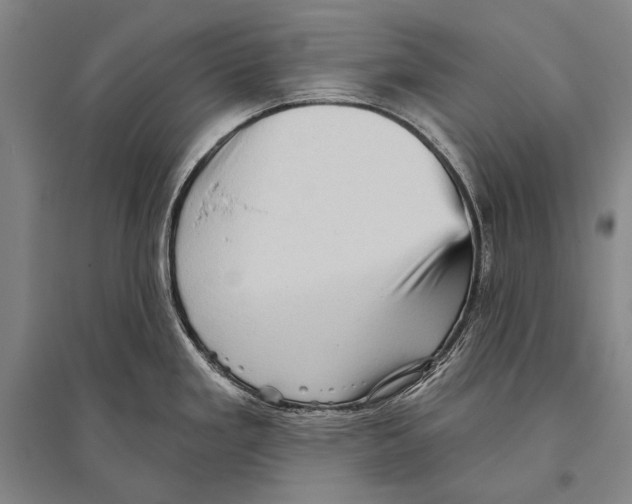 X0000094811293200712141614