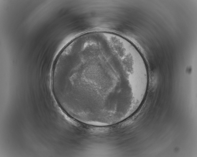 X0000094811294200712141614