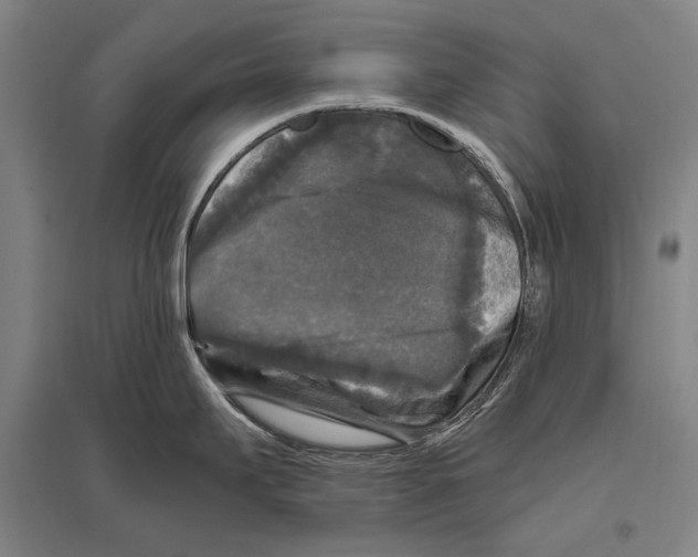 X0000094811295200712141614