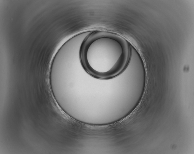 X0000094811296200712141614